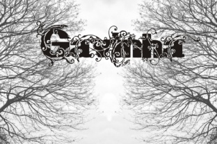 Gavinha: A Decorative Display Font for Bold Visual Statements