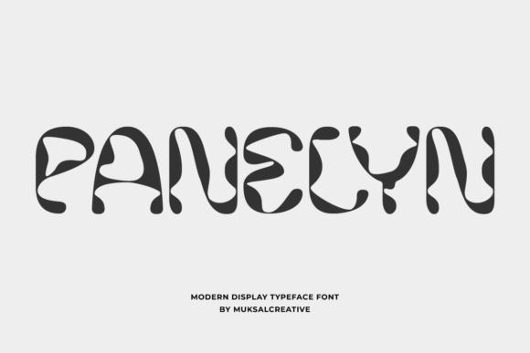 Panelyn: The Modern Display Font for Fashion Brands