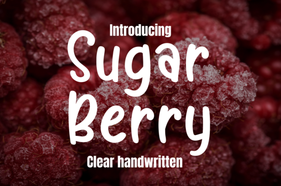 Sugar Berry: The Friendly Display Font for Modern Designers